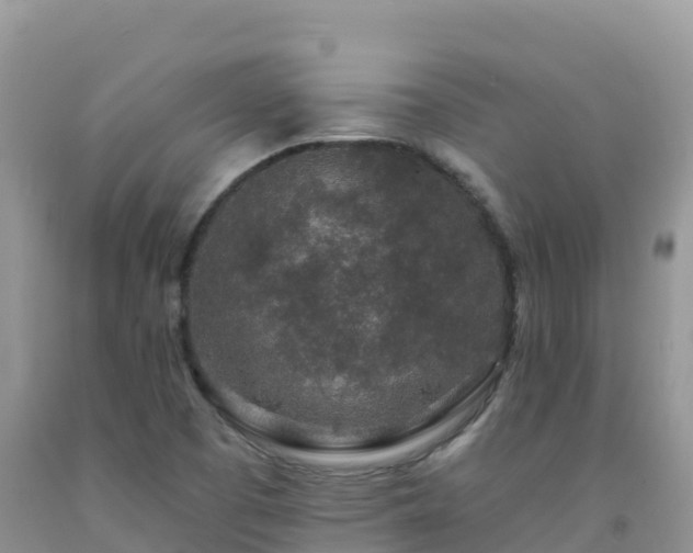 X0000092081457200709191215