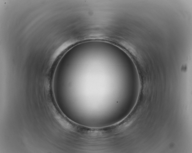 X0000092081458200709191215