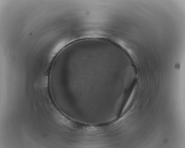 X0000092081459200709191215
