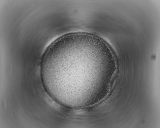 X0000092081460200709191215