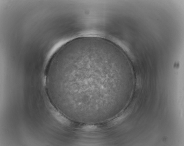 X0000092081462200709191215