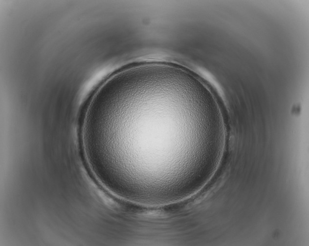 X0000092081464200709191215