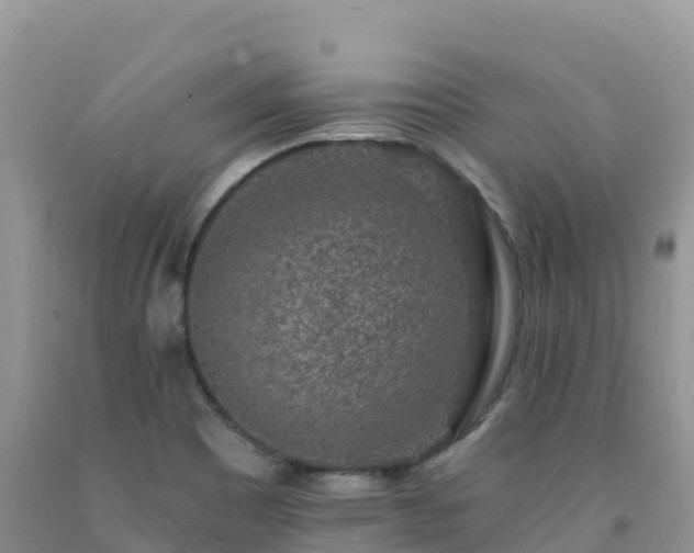 X0000092081465200709191215