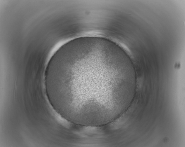 X0000092081470200709191215