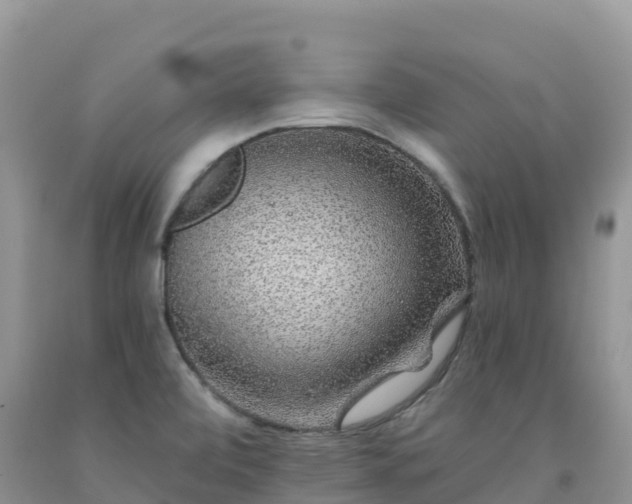 X0000092081472200709191215