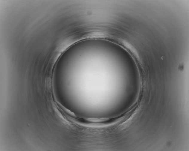 X0000092081473200709191215
