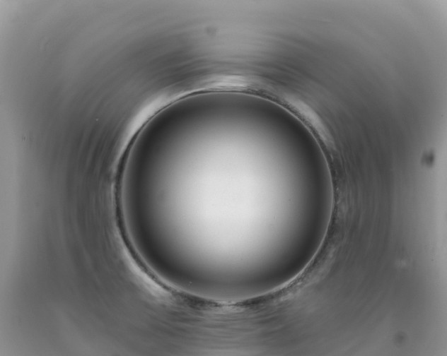 X0000092081475200709191214