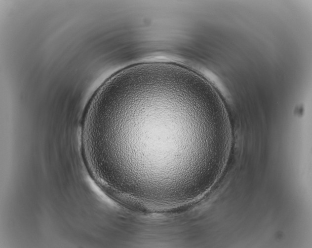X0000092081476200709191214