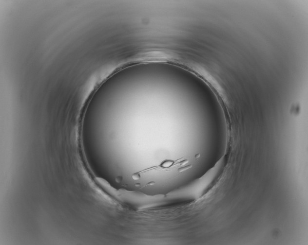 X0000092081477200709191214