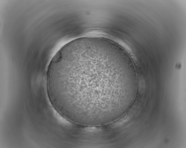 X0000092081478200709191214