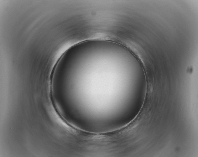 X0000092081479200709191214