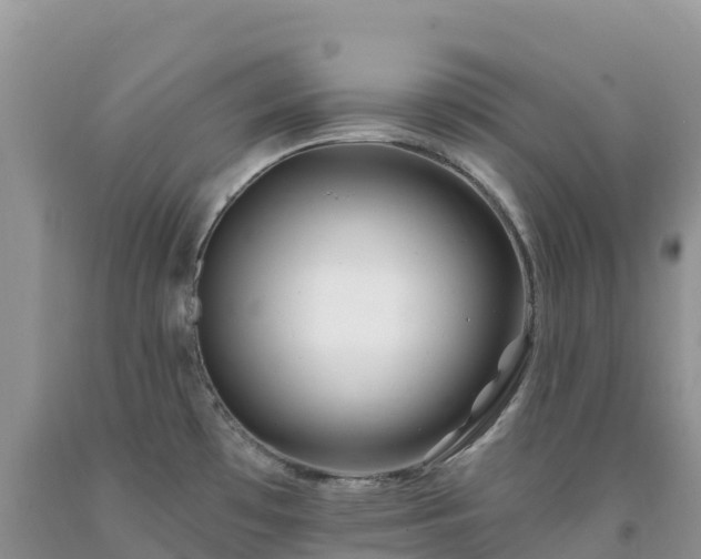 X0000092081481200709191214