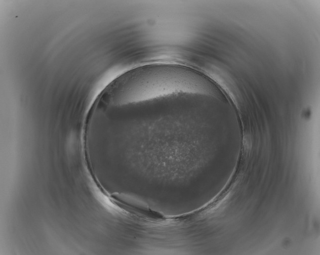 X0000092081482200709191214