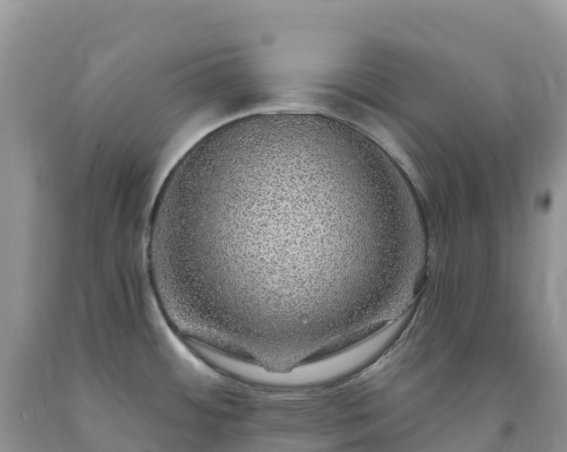 X0000092081484200709191214