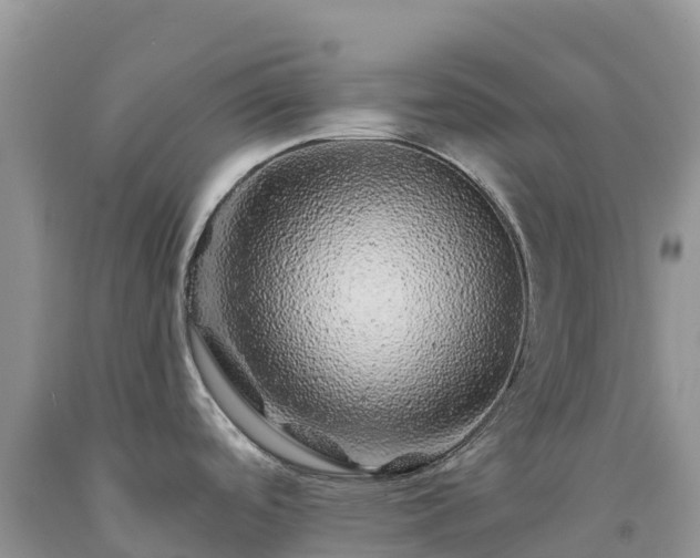 X0000092081488200709191214