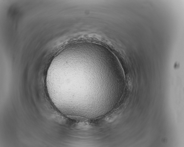 X0000092081489200709191214
