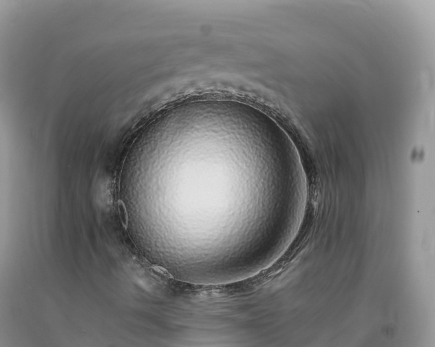 X0000092081490200709191214