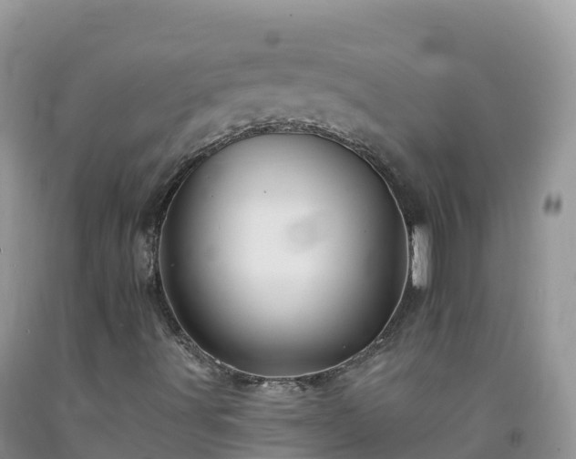 X0000092081491200709191214