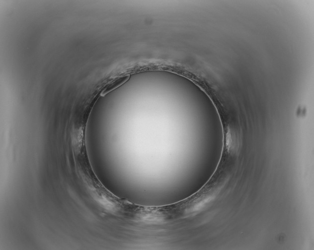 X0000092081492200709191214