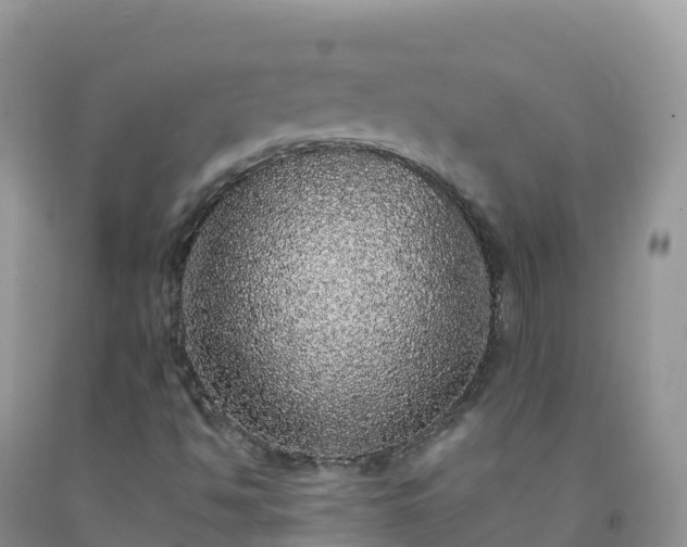 X0000092081494200709191214