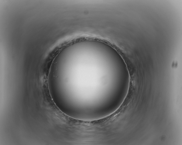 X0000092081495200709191214