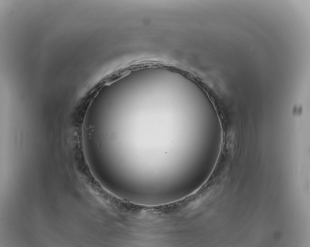 X0000092081496200709191214