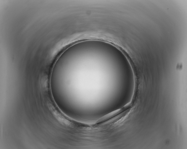 X0000092081499200709191214