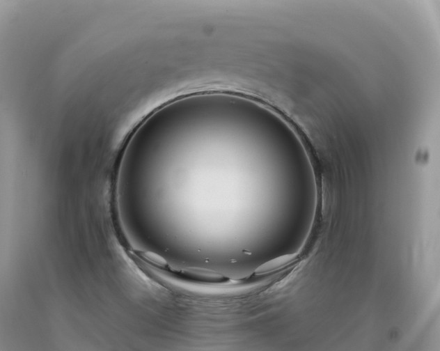 X0000092081500200709191214