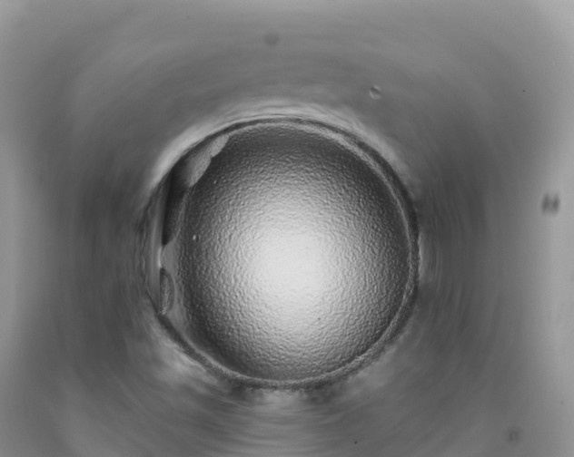 X0000092081501200709191214