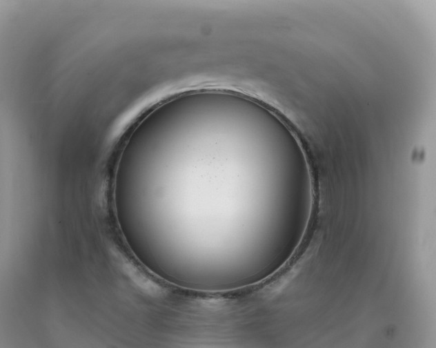 X0000092081502200709191214