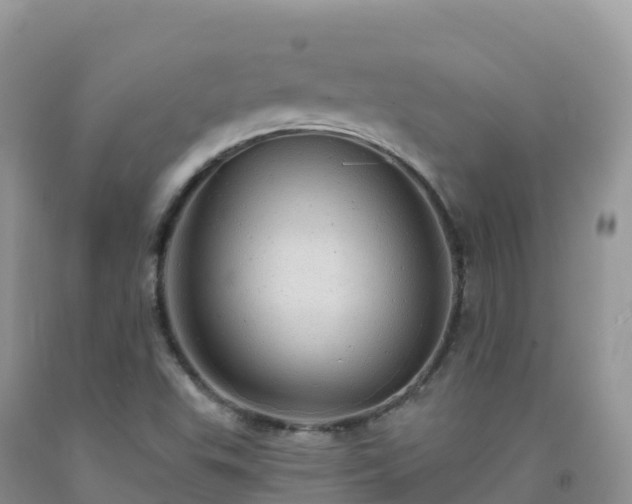 X0000092081503200709191214
