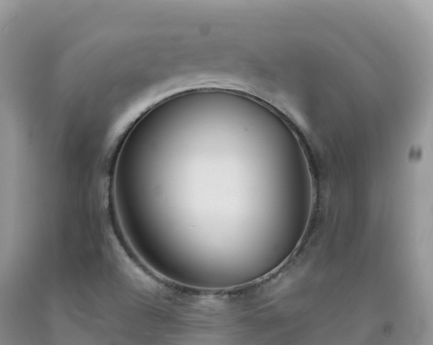 X0000092081504200709191214