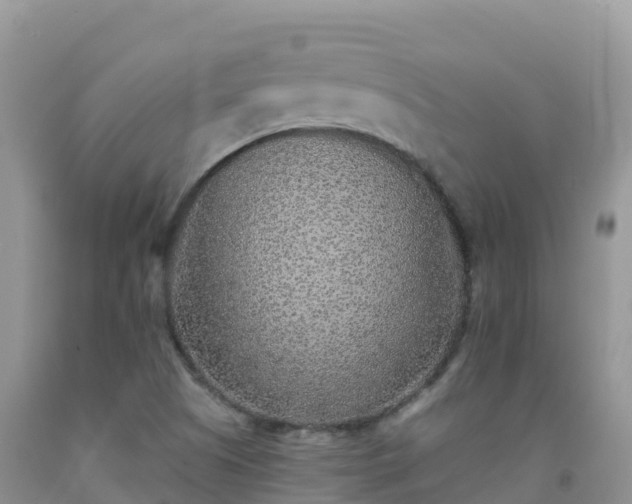 X0000092081505200709191214