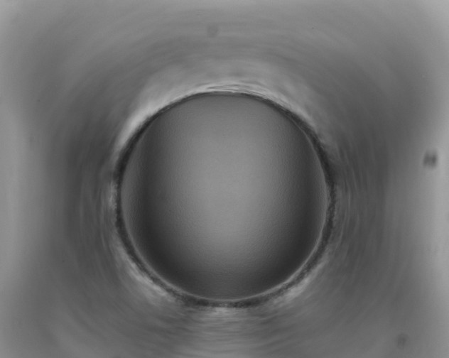 X0000092081506200709191214