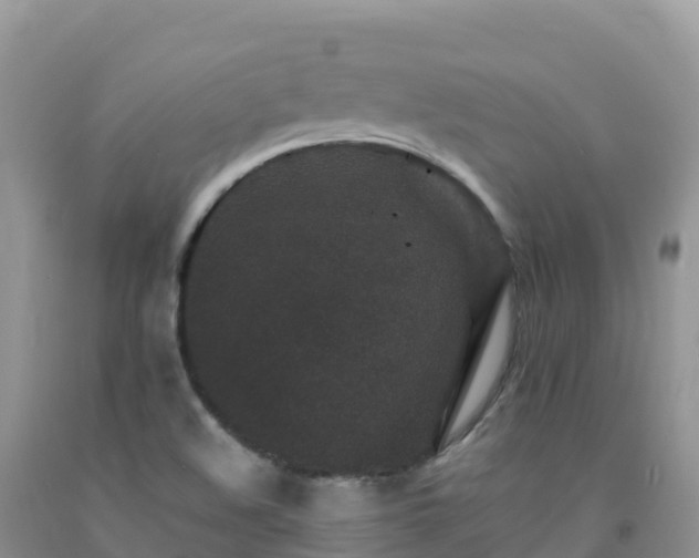X0000092081508200709191214