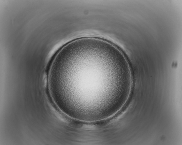 X0000092081509200709191214