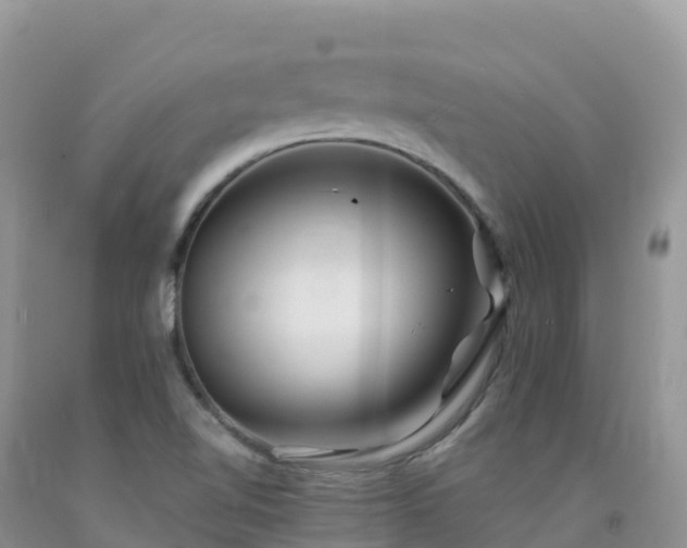 X0000092081510200709191214