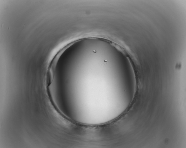 X0000092081512200709191214