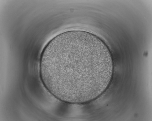 X0000092081514200709191214