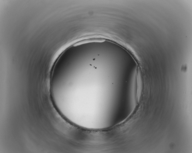 X0000092081516200709191214