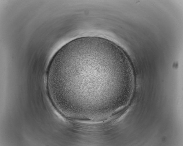 X0000092081517200709191214
