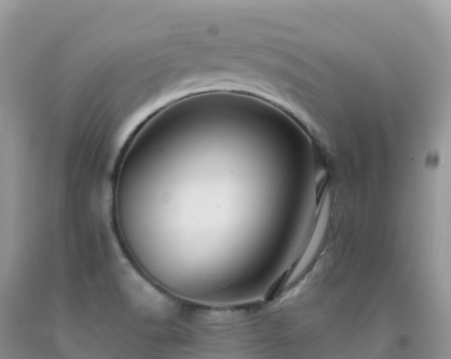X0000092081518200709191214