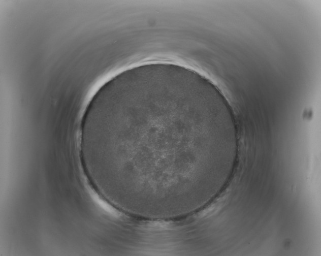 X0000092081519200709191214