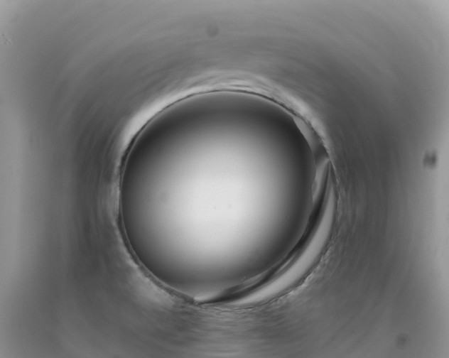 X0000092081520200709191214