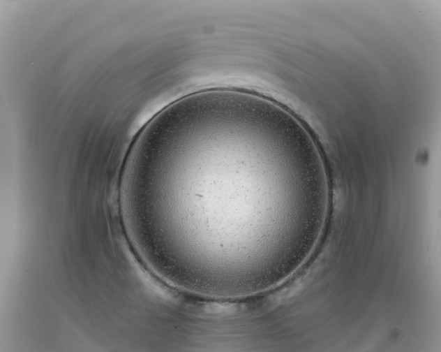 X0000092081521200709191214