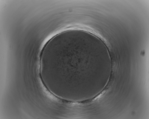 X0000092081522200709191214