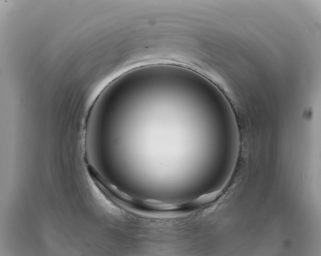 X0000092081524200709191214