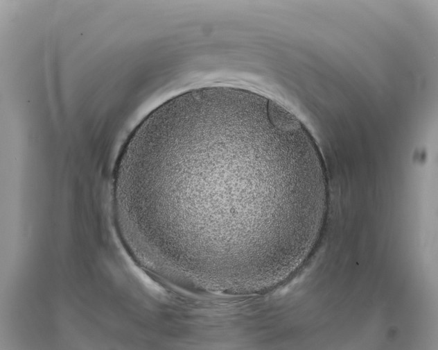 X0000092081525200709191214