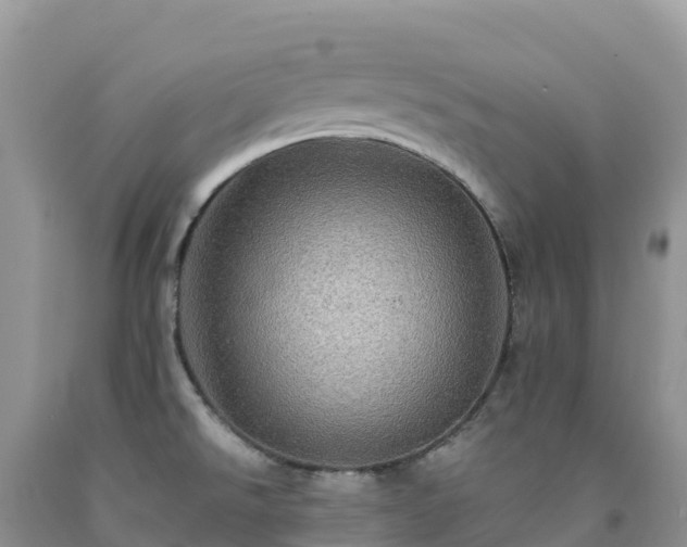 X0000092081526200709191214