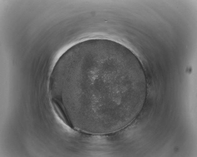 X0000092081527200709191214